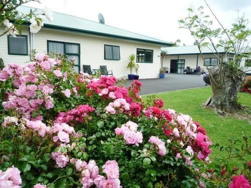 Coromandel Court Motel ภายนอก รูปภาพ